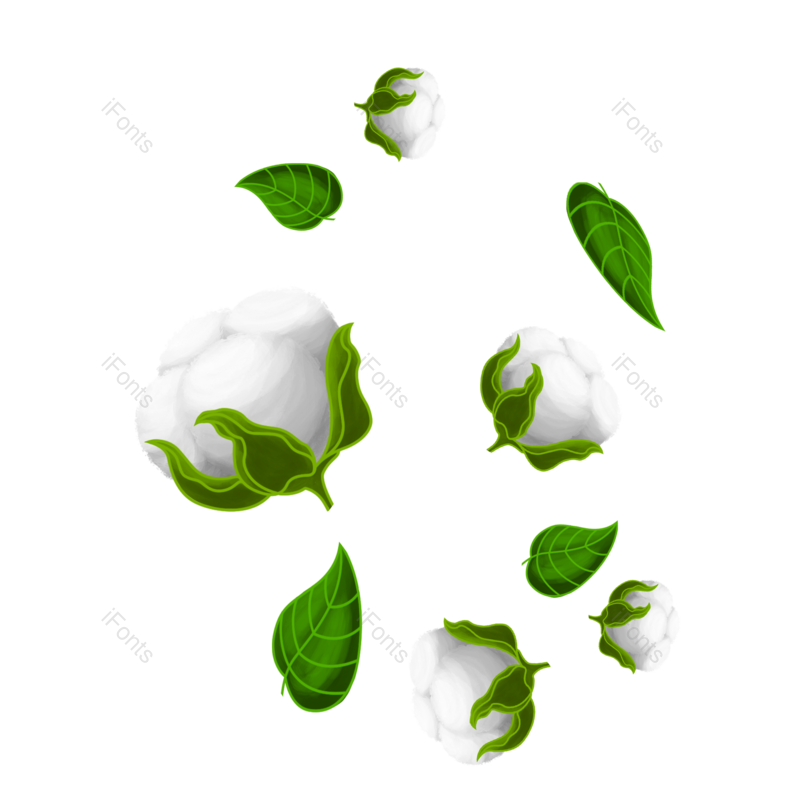 植物素材图片,绿色元素,植物PNG,免抠素材